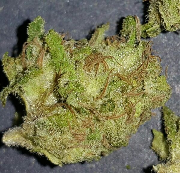 Afghan Kush Marijuana Strain