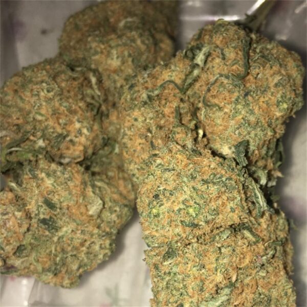 Cherry Pie Marijuana Strain