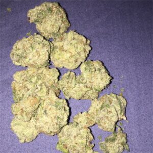 Chiquita Banana marijuana strain