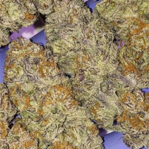 Purple Punch Marijuana Strain