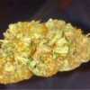 Shining Silver Haze Marijuana Strain