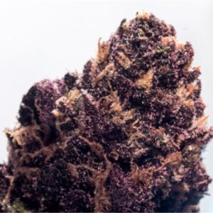 Sirius Black Marijuana Strain