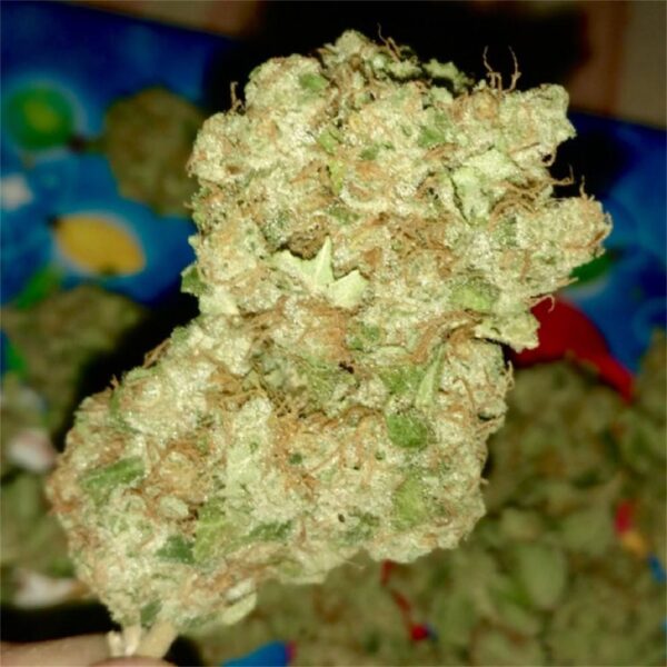 White Rhino Marijuana Strain