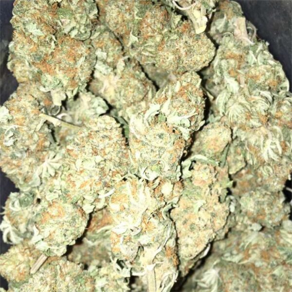 White Rhino Marijuana Strain