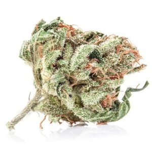 Moby Dick Marijuana Strain